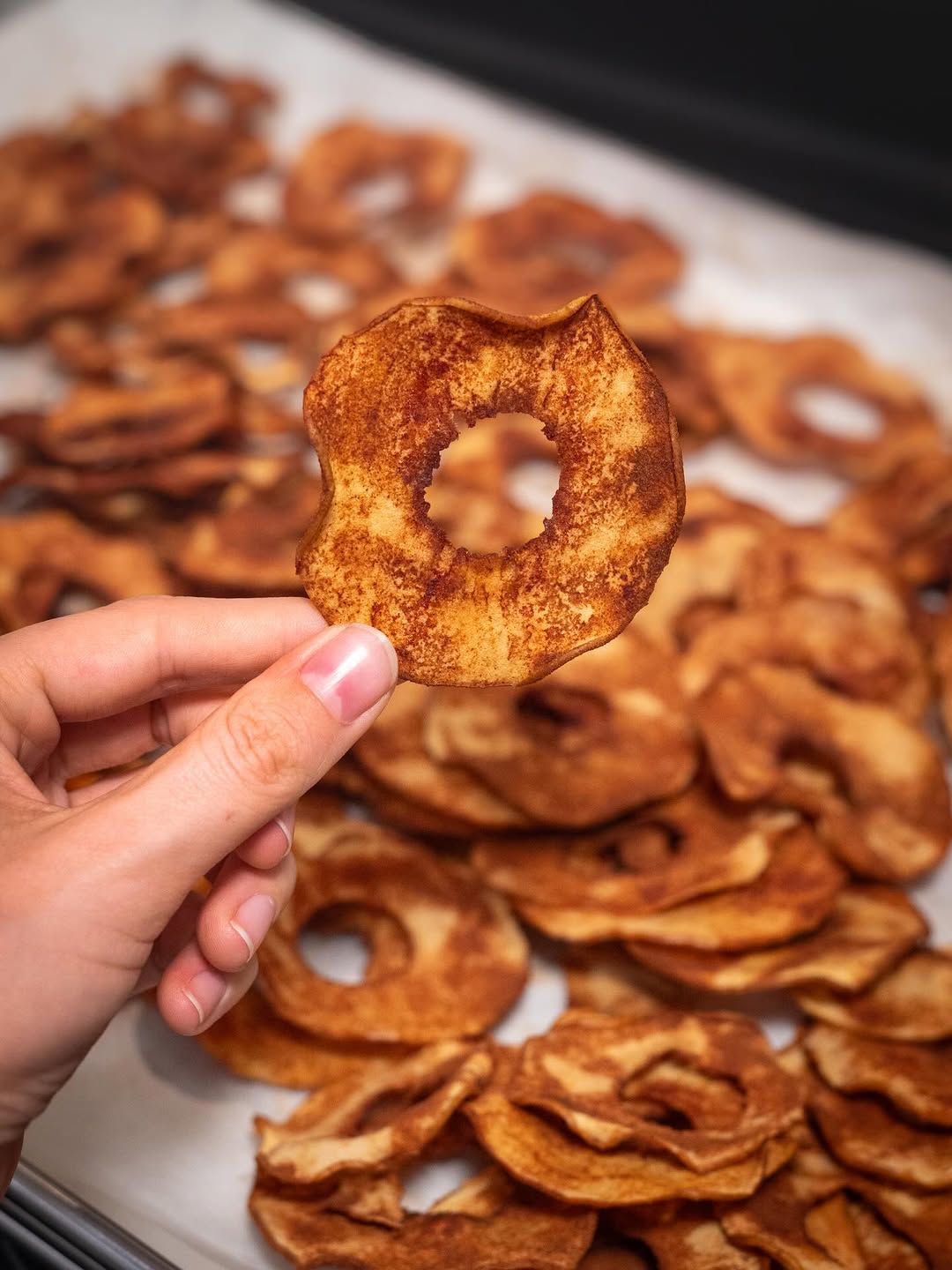 Hand holding an apple chip